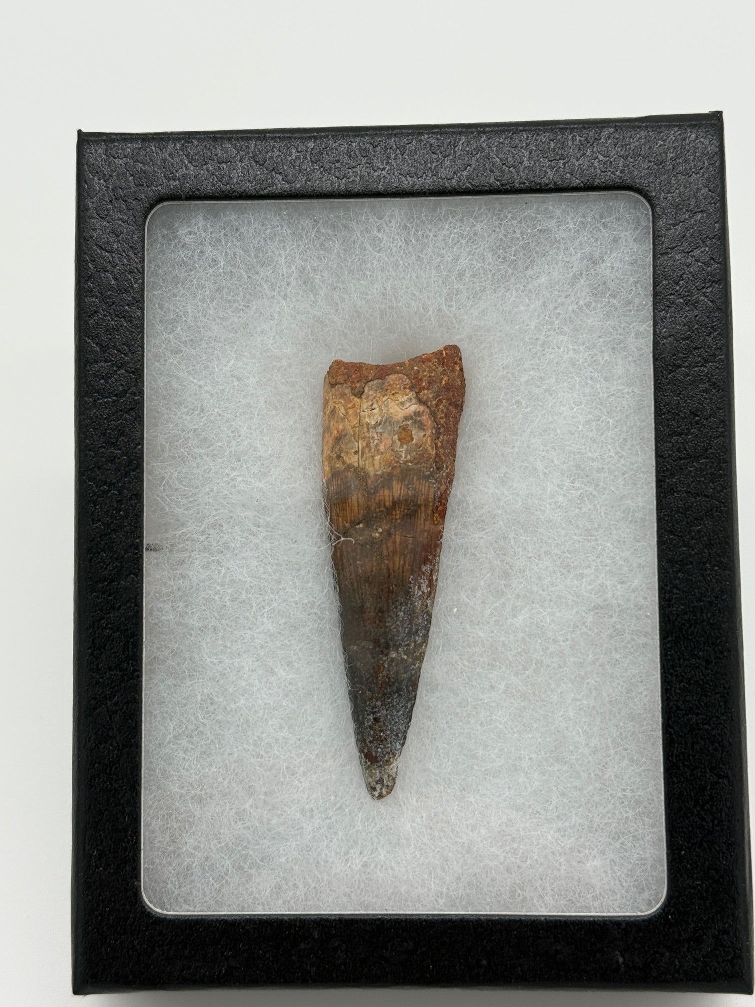 DISPLAY AND ONE-OF-A-KIND TREASURES | Buried treasure