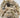 DISCOVERY MINING BAG OF FOSSILS