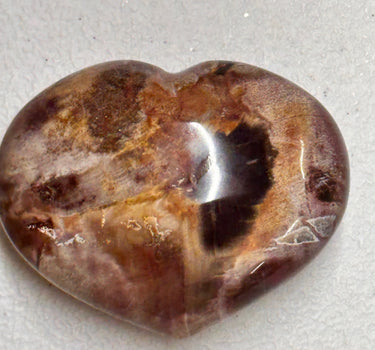 LARGE PETRIFIED WOOD HEART