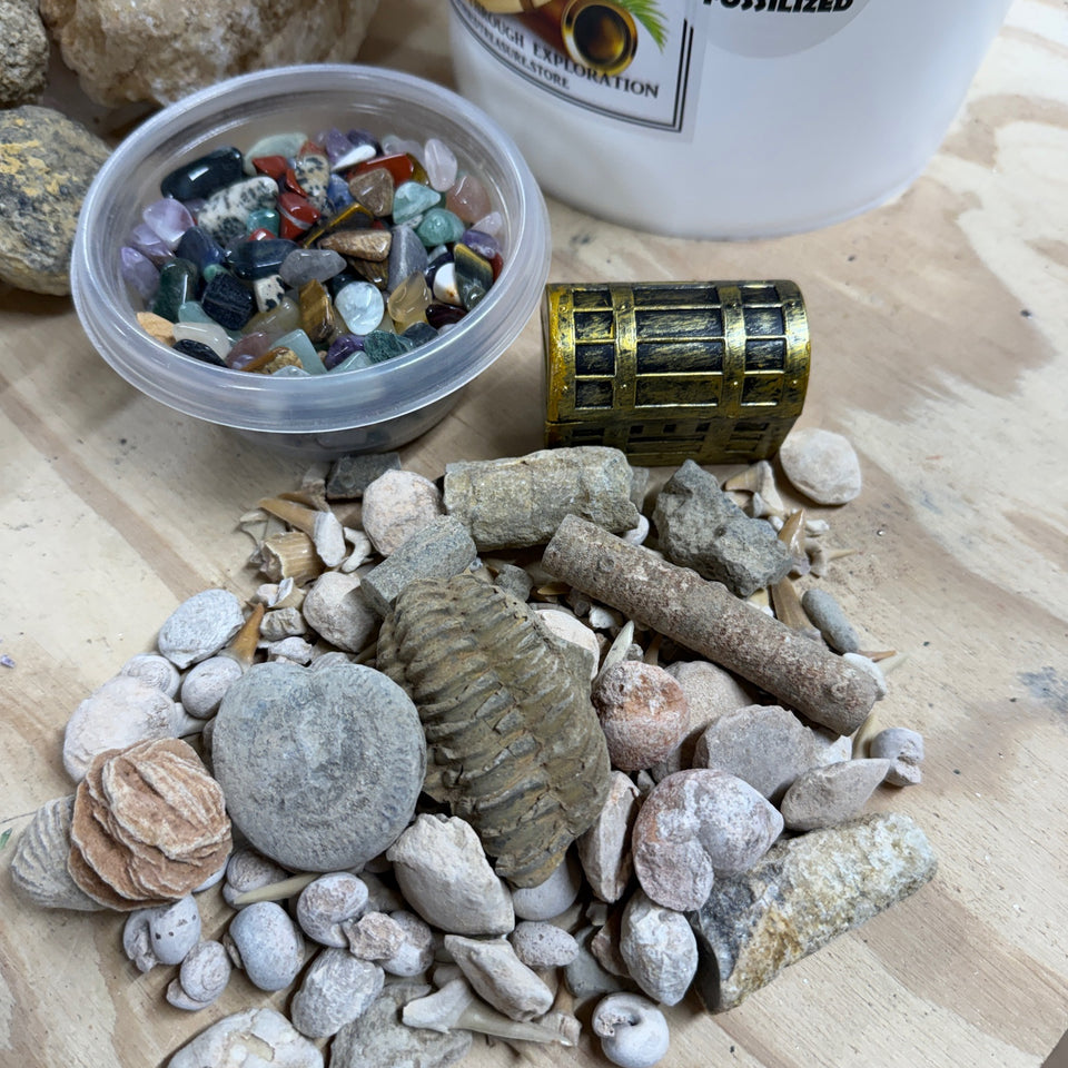 DIRTY DOZEN GEODE MINING BUCKET PLUS NATURAL CRYSTAL RAW STONES ...