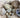 DIRTY DOZEN GEODE MINING BUCKET PLUS NATURAL CRYSTAL RAW STONES, TUMBLED STONES, RAW AND TUMBLED OR FOSSILS - Buried treasure