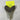 AUTHENTIC MEGALODON TOOTH #31 - Buried treasure