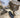 WHALE YEAH TWO GALLON FOSSIL AND NATURAL CRYSTAL MINING BUCKET - Buried treasure