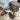 WHALE YEAH TWO GALLON FOSSIL AND NATURAL CRYSTAL MINING BUCKET - Buried treasure