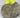 LARGE RAW AMMONITE FROM MOROCCO #2 - Buried treasure