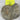 LARGE RAW AMMONITE FROM MOROCCO #2 - Buried treasure