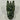 LARGE SERPENTINE DRAGON HEAD - Buried treasure