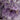 LARGE 44 POUND NATURAL CRYSTAL AMETHYST CATHEDRAL - Buried treasure