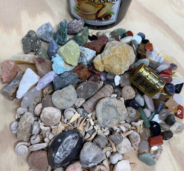 THE QUART MINI MINER FOSSIL FREAK - NATURAL CRYSTAL AND FOSSIL MINING BUCKET