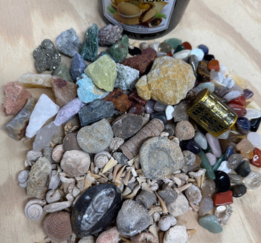 THE QUART MINI MINER FOSSIL FREAK - NATURAL CRYSTAL AND FOSSIL MINING BUCKET