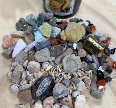 THE QUART MINI MINER FOSSIL FREAK - NATURAL CRYSTAL AND FOSSIL MINING BUCKET