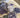 FOR THE LOVE OF AMETHYST TWO GALLON NATURAL CRYSTAL AND SPECIMEN MINING BUCKET
