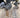 ONE WHALE OF A BUCKET ONE GALLON FOSSIL AND NATURAL CRYSTAL MINING BUCKET
