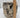 AUTHENTIC FOSSILIZED WHALE VERTEBRAE 11 POUNDS
