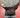 AUTHENTIC FOSSILIZED WHALE VERTEBRAE 11 POUNDS