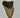 MEGALODON TOOTH 75%  COMPLETE (3" TO 6")
