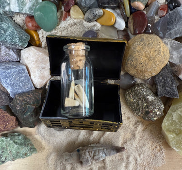 THE SWAMP THANG QUART MINI MINER NATURAL CRYSTAL MINING BUCKET