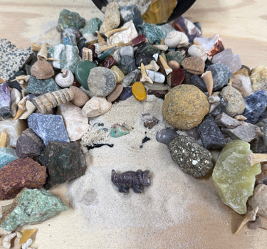 DINO DIGGER- QUART MINI MINER FOSSIL FREAK NATURAL CRYSTAL MINING BUCKET