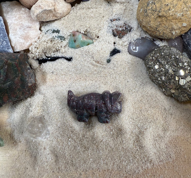 DINO DIGGER- QUART MINI MINER FOSSIL FREAK NATURAL CRYSTAL MINING BUCKET