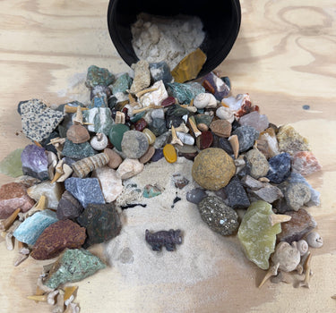 DINO DIGGER- QUART MINI MINER FOSSIL FREAK NATURAL CRYSTAL MINING BUCKET