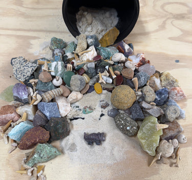 DINO DIGGER- QUART MINI MINER FOSSIL FREAK NATURAL CRYSTAL MINING BUCKET