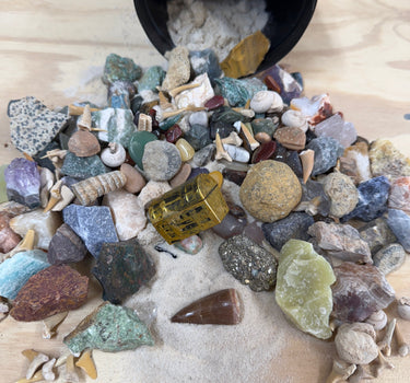 THE QUART MINI MINER-SAURUS NATURAL CRYSTAL AND FOSSIL MINING BUCKET