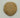 AUTHENTIC FOSSILIZED SAND DOLLAR IN RIKER CASE