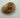 POLISHED FOSSILIZED CLAM