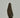 AUTHENTIC FOSSILIZED WHALE TOOTH #4