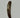 AUTHENTIC FOSSILIZED WHALE TOOTH #6