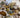 LIFE FINDS A WAY TWO GALLON NATURAL CRYSTAL MINING BUCKET