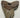 AUTHENTIC 5.66 INCH MEGALODON TOOTH #2