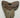 AUTHENTIC 5.66 INCH MEGALODON TOOTH #2