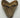 AUTHENTIC 5.15 INCH MEGALODON TOOTH #3