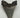 AUTHENTIC 5.15 INCH FULL MEGALODON TOOTH FOSSIL #01
