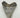 AUTHENTIC 5.46 INCH FULL MEGALODON TOOTH FOSSIL #06