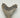 AUTHENTIC 5.41 INCH FULL MEGALODON TOOTH FOSSIL #07