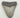AUTHENTIC 3.70 INCH FULL MEGALODON TOOTH FOSSIL #016