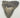 AUTHENTIC 4.09 INCH FULL MEGALODON TOOTH FOSSIL #017