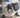 MEG AMAZING 76 NATURAL CRYSTAL AND FOSSIL MINING BUCKET
