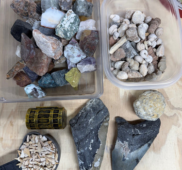 THE MEGALODON ONE GALLON NATURAL CRYSTAL AND FOSSIL MINING BUCKET