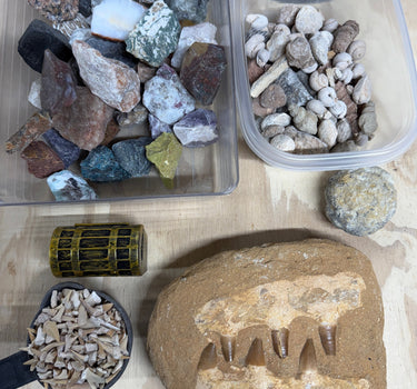 THE MOSASAUR ONE GALLON NATURAL CRYSTAL AND FOSSIL MINING BUCKET