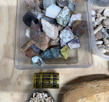 THE MOSASAUR ONE GALLON NATURAL CRYSTAL AND FOSSIL MINING BUCKET