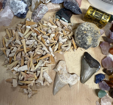 QUART MINI MINER FEEDING FRENZY NATURAL CRYSTAL MINING BUCKET