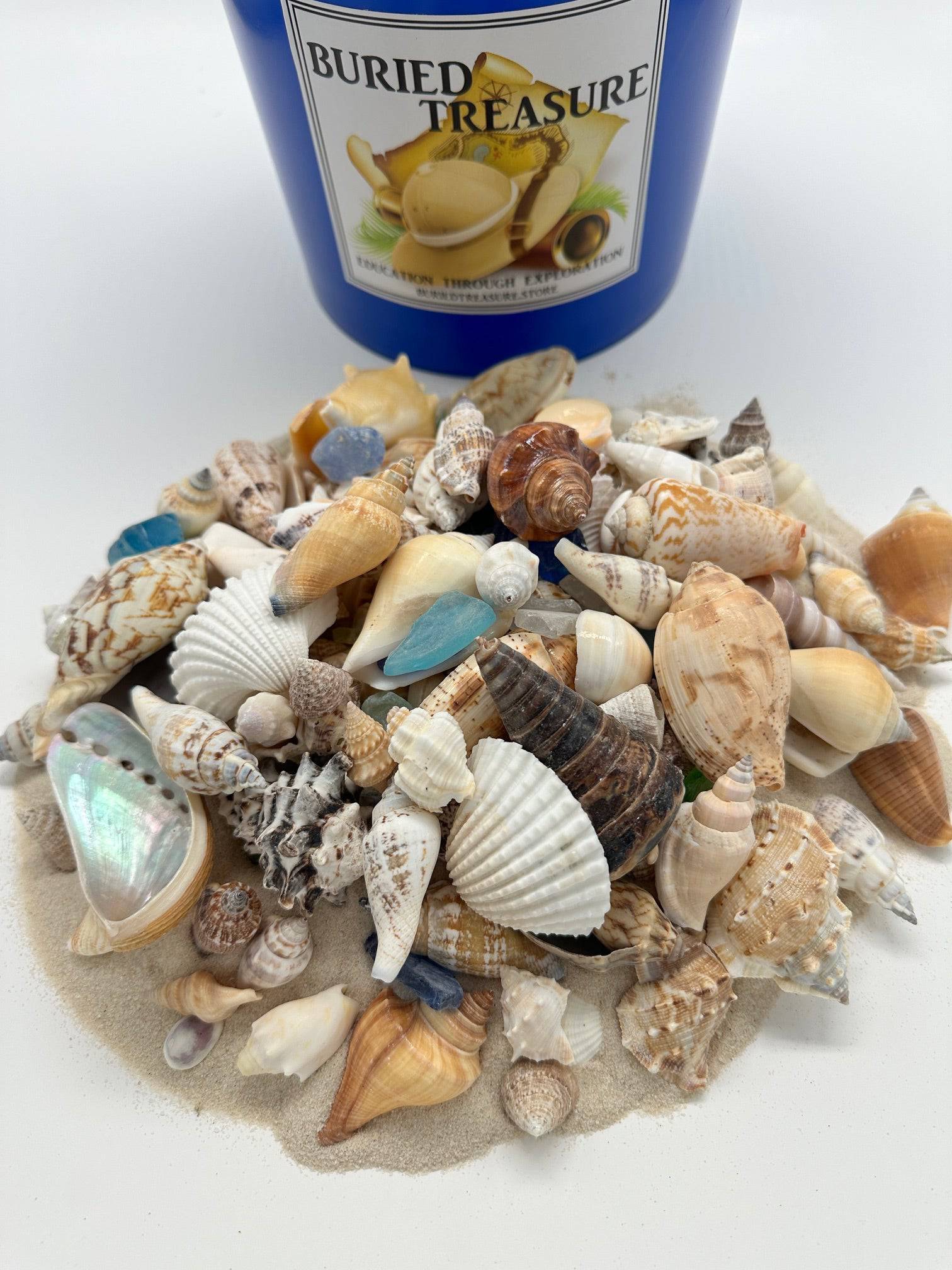 Shell Iron Bucket 1 GALLON SEASHELL MINING BUCKET