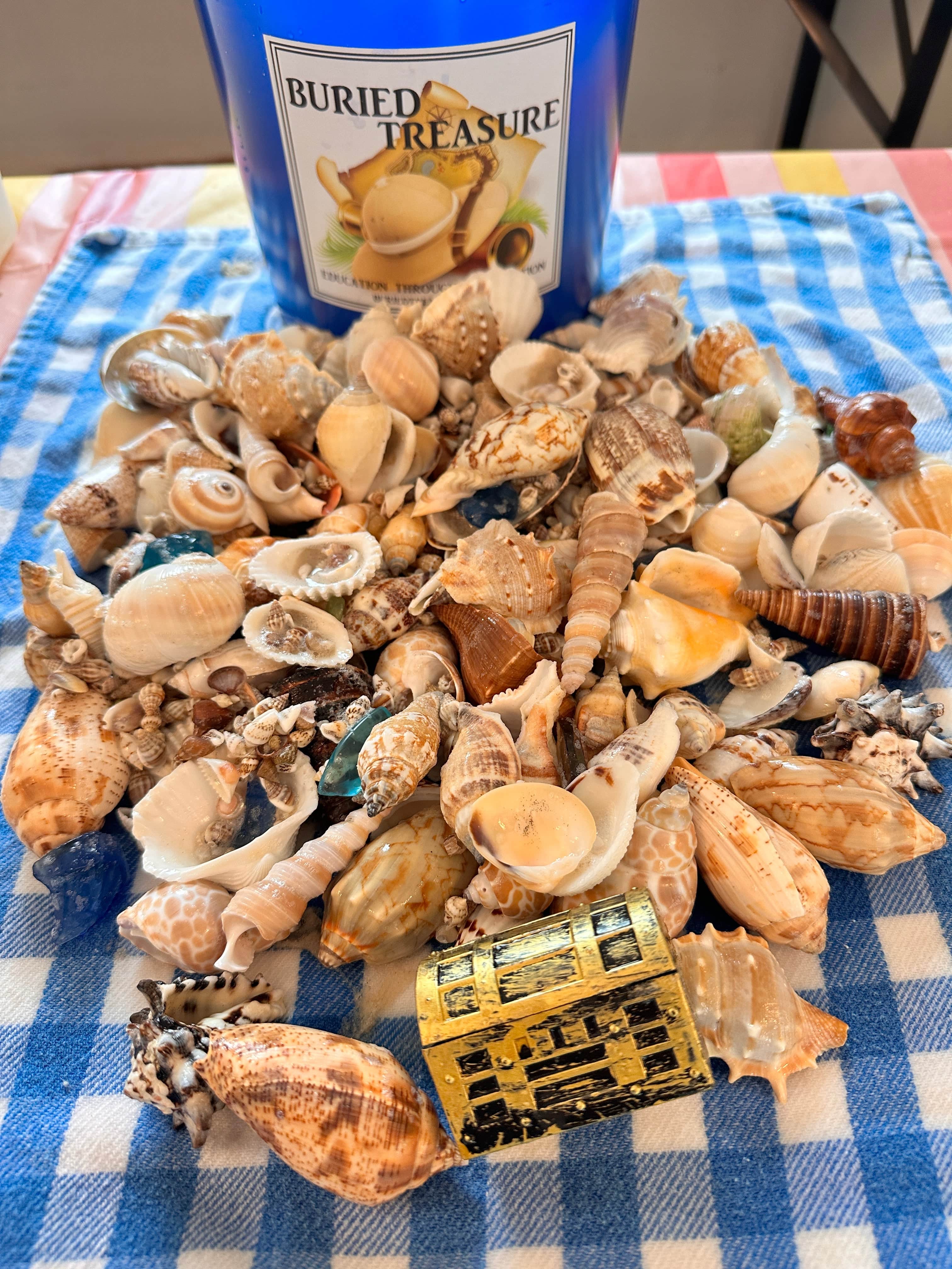 Dig Shells 1 GALLON SEASHELL MINING BUCKET