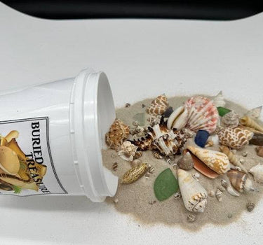 QUART SEASHELL AND BEACH FIND DISCOVERY MINING BUCKET