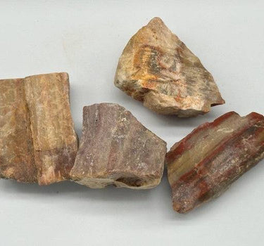 PETRIFIED WOOD ROUGH STONE