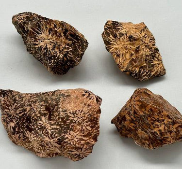 SPIDER JASPER CHRYSANTHEMUM ROUGH STONE