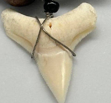 AUTHENTIC SHARK TOOTH NECKLACE